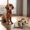 Dog Bowls Stand Bamboo Raised Dog Bowl with 2 Stainless Steel Food Water Bowls Set Food Feeding Dishes for Indoor Cat and Large Medium Dogs